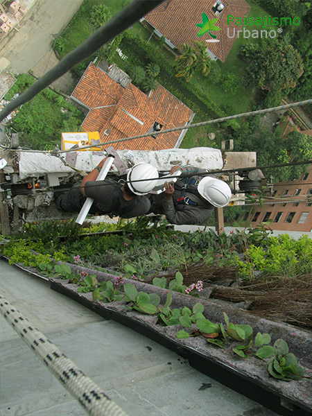 jardin vertical edificio colombia