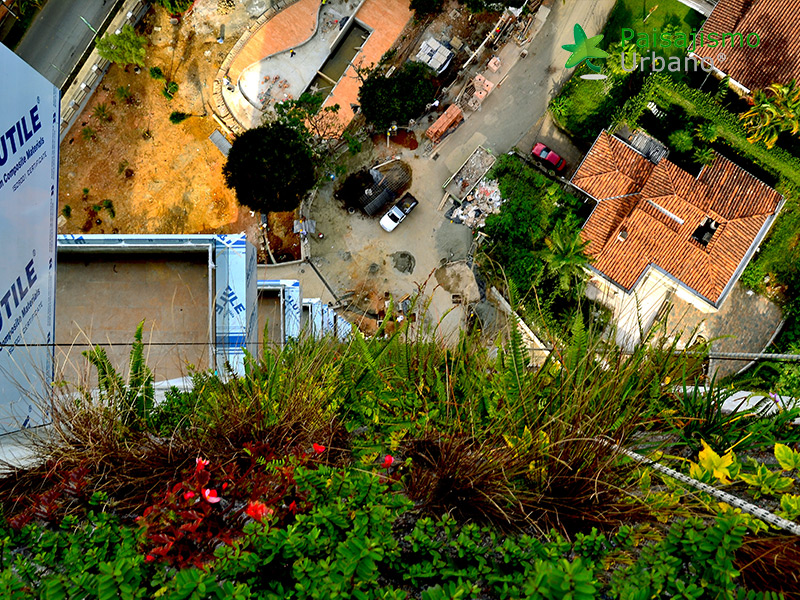 jardin vertical edificio colombia