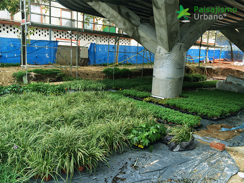 jardin vertical malaga paisajismo urbano