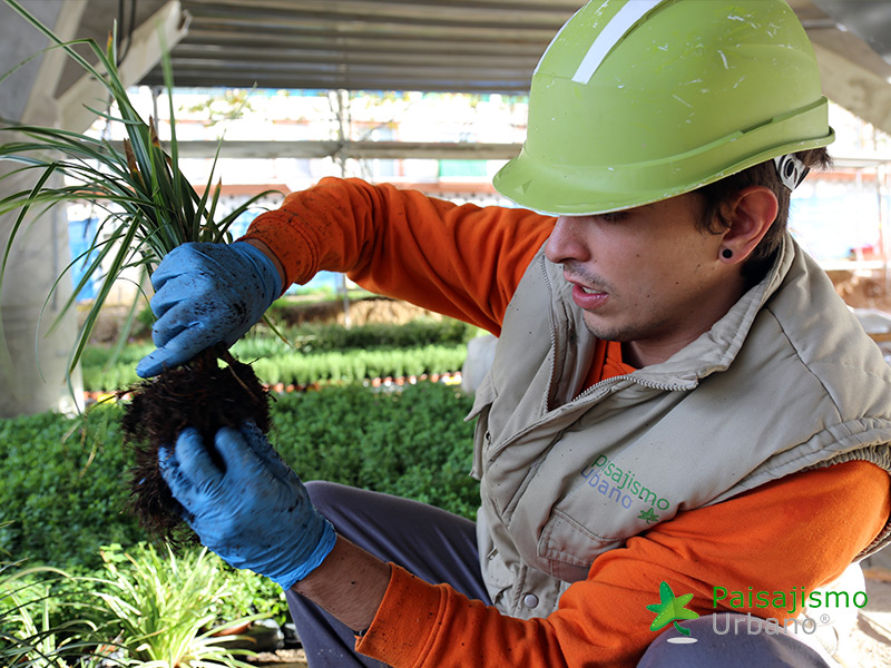 jardin vertical edificio malaga