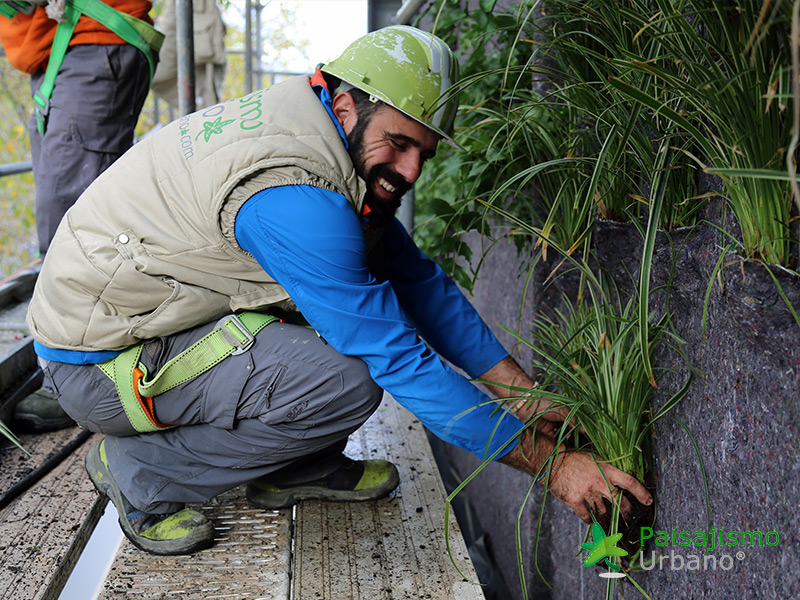 jardin vertical edificio malaga