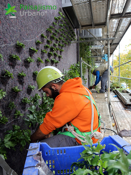 jardin vertical edificio malaga