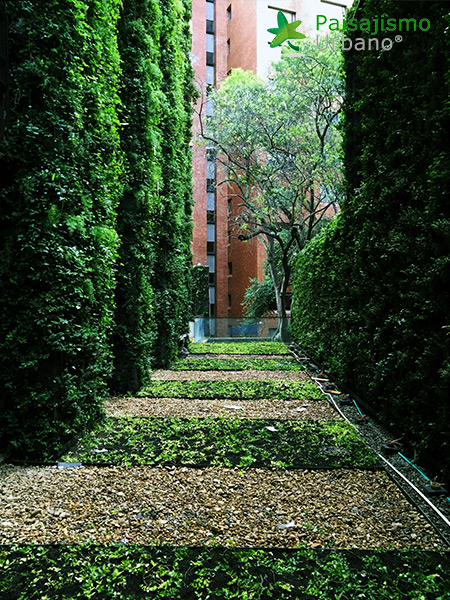 jardín vertical edificio santalaia