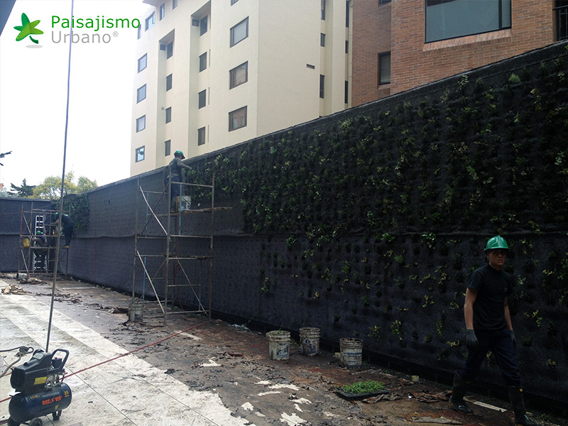 construcción jardin vertical mas grande del mundo