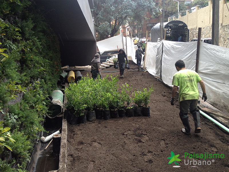 construcción jardin vertical mas grande del mundo
