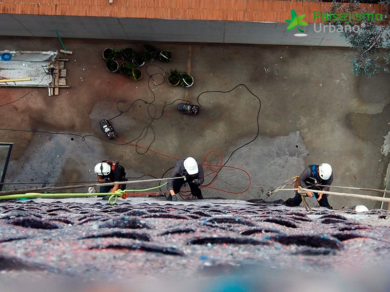 construcción jardin vertical mas grande del mundo