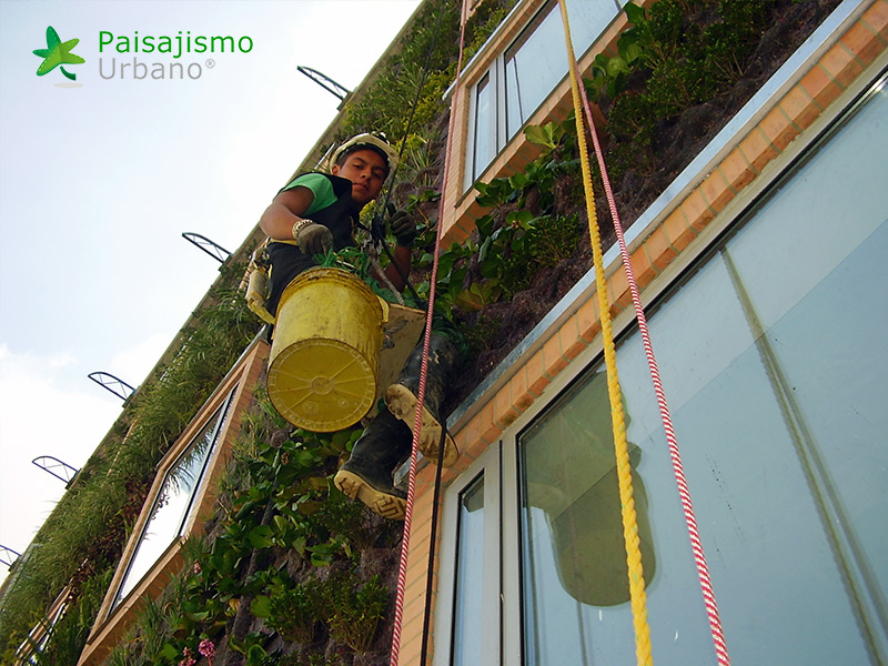 jardin vertical hotel gaia bogota