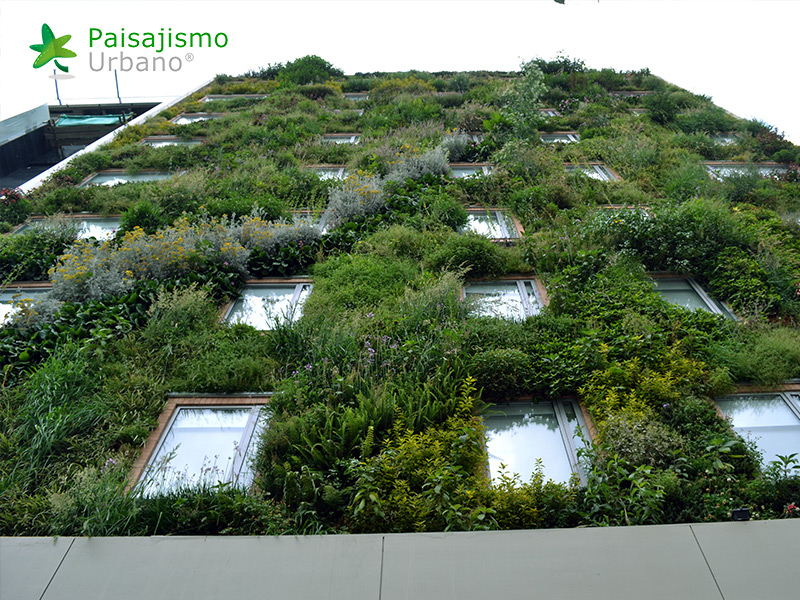 jardin vertical hotel gaia bogota