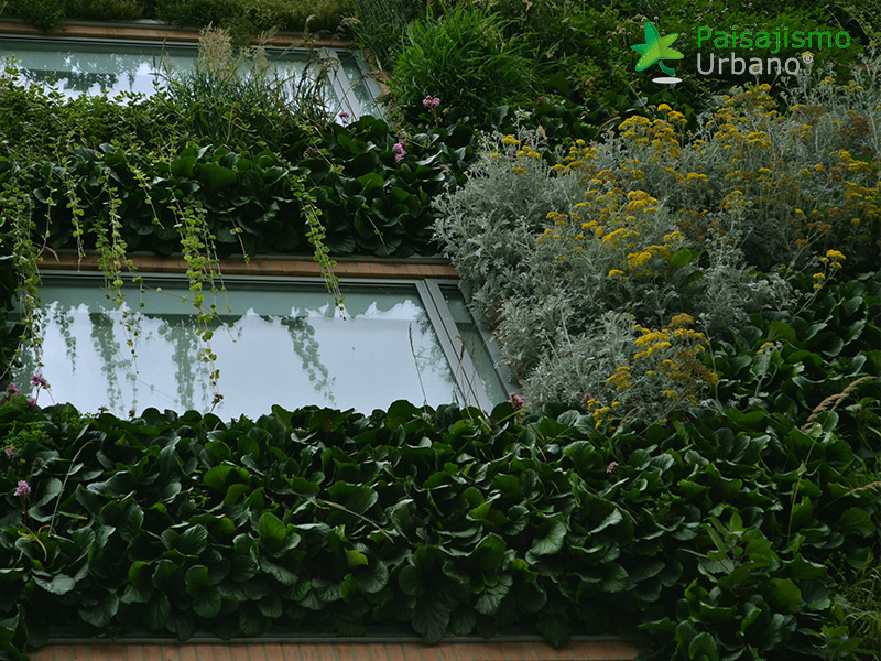 jardin vertical hotel gaia bogota