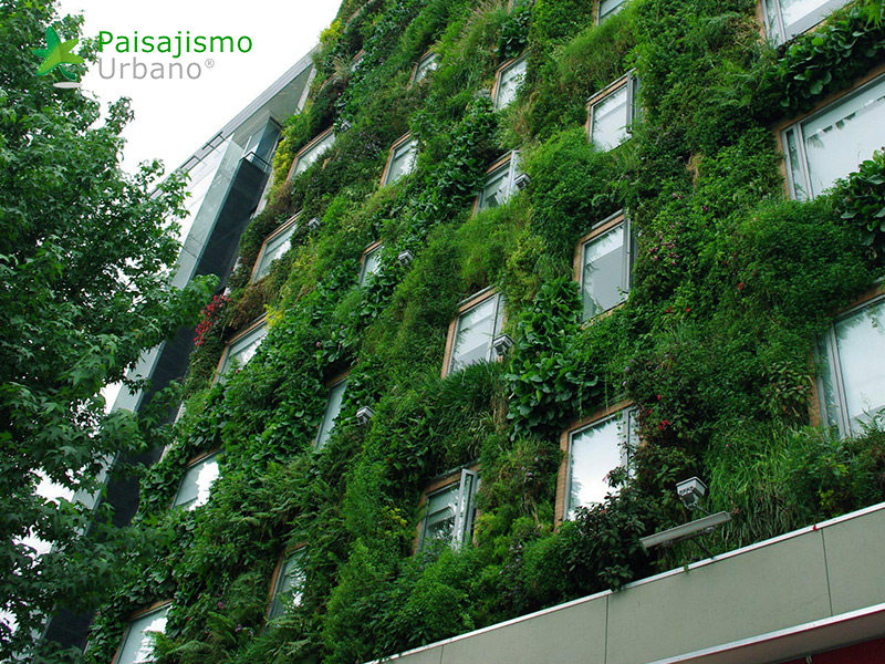 jardin vertical hotel gaia bogota