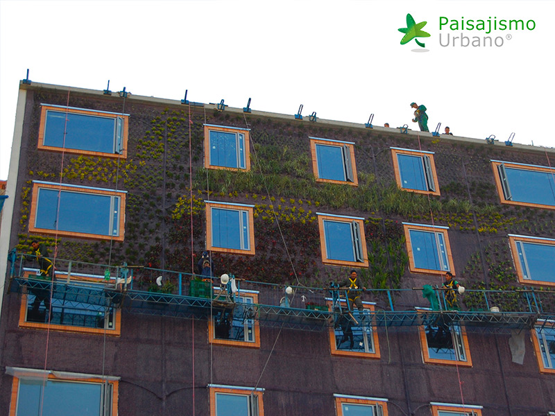 jardin vertical bogota