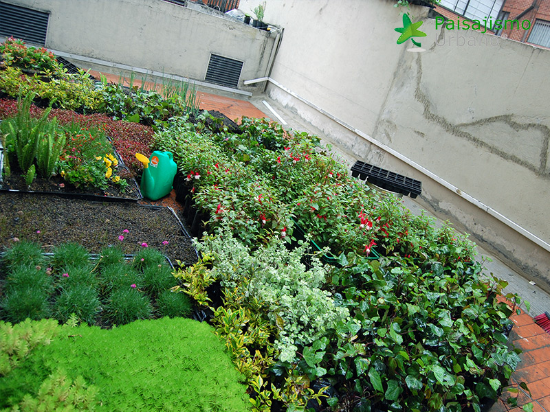 jardin vertical bogota