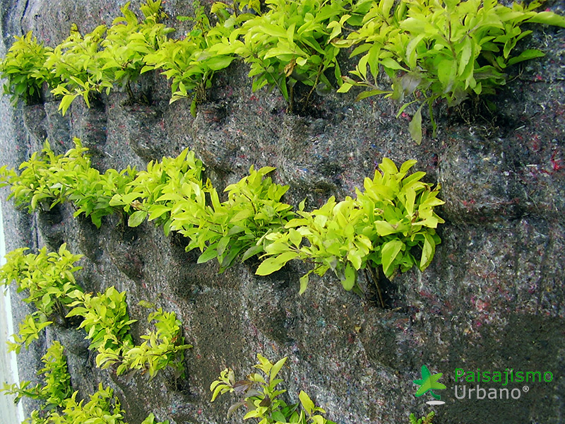 jardin vertical hotel gaia bogota