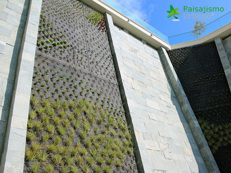 jardin vertical club grecia
