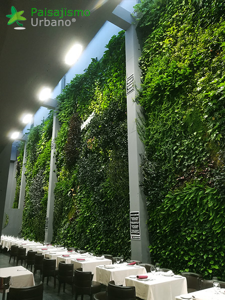 Jardín vertical restaurante Bálamo en Madrid​