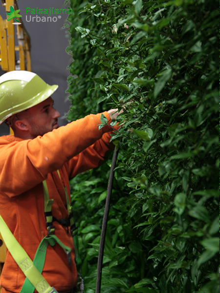 Jardín vertical restaurante Bálamo en Madrid​