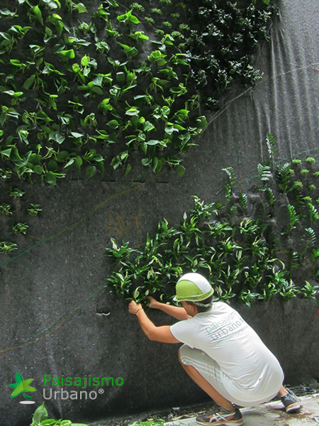 Jardín vertical restaurante Bálamo en Madrid​