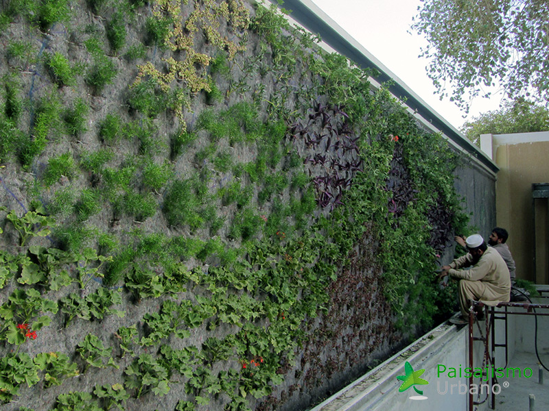 instalación de jardines verticales arabia