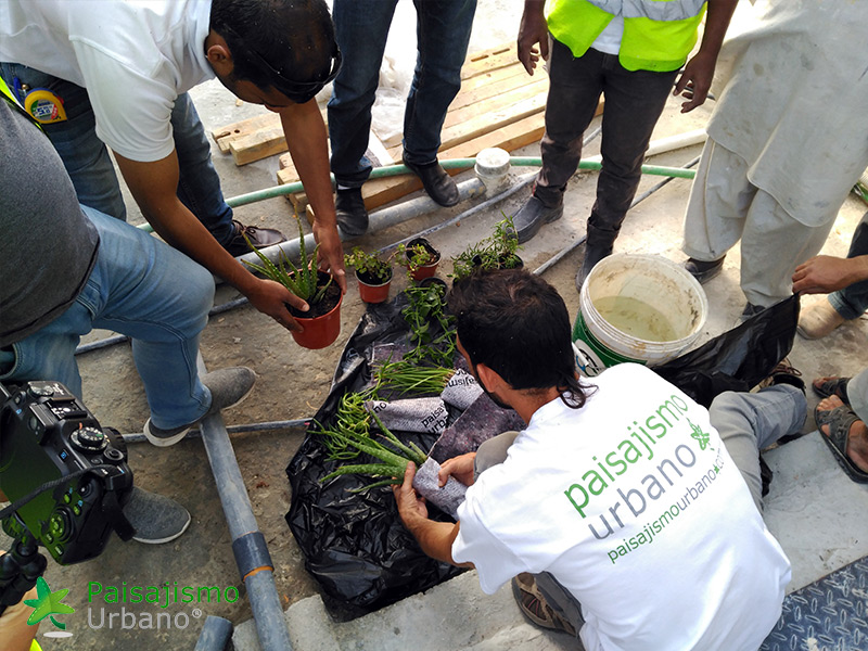 instalación de jardines verticales arabia