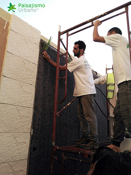 jardines verticales residencia privada