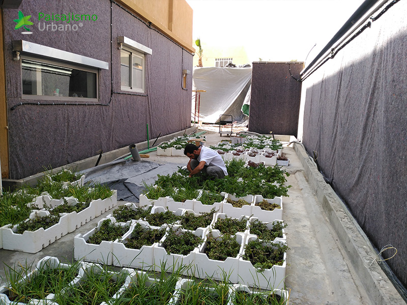 instalación de jardines verticales paisajismo urbano