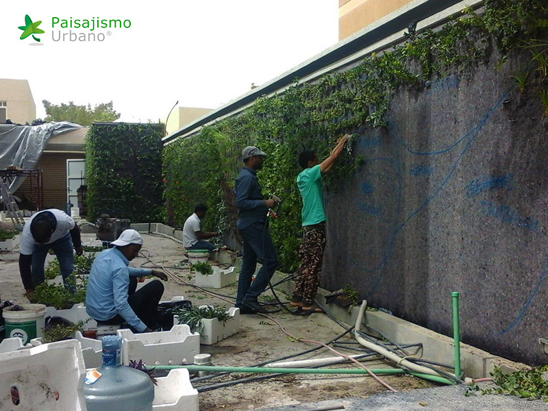 instalación de jardines verticales arabia