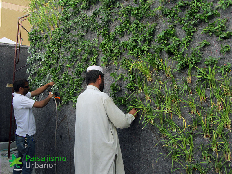instalación de jardines verticales arabia