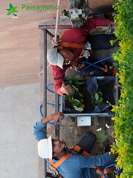 jardin vertical centro comercial