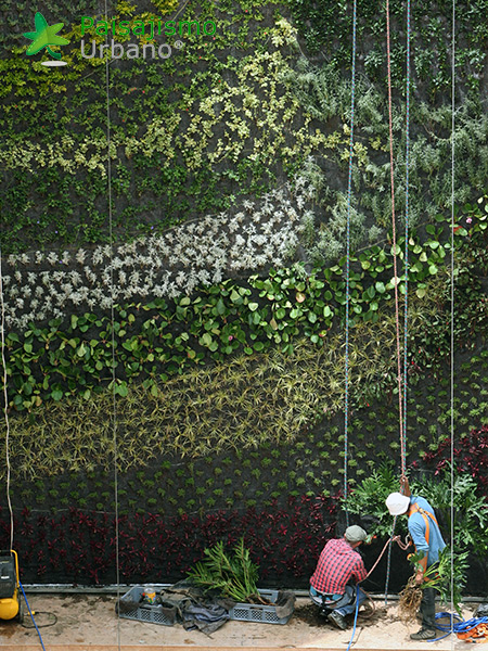 jardin vertical centro comercial
