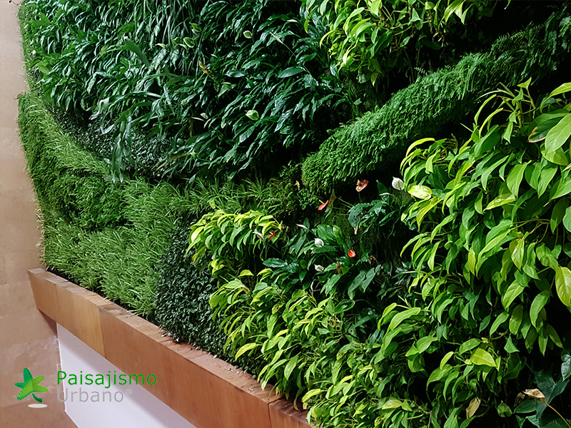 jardin vertica ecuador