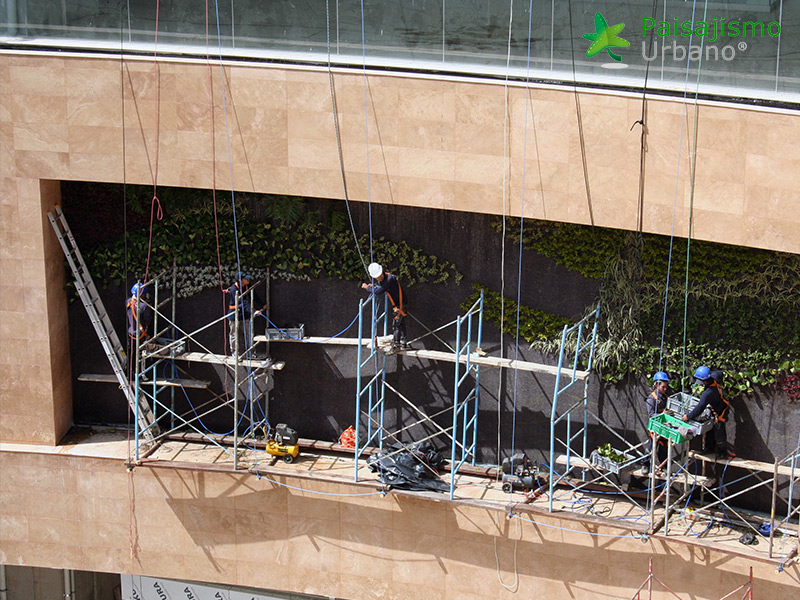 construcción jardines verticales ecuador
