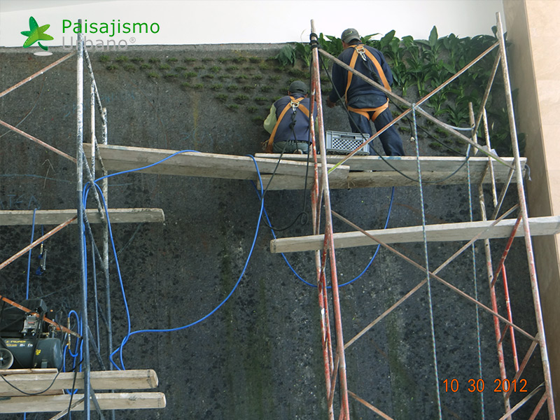 construcción jardines verticales ecuador