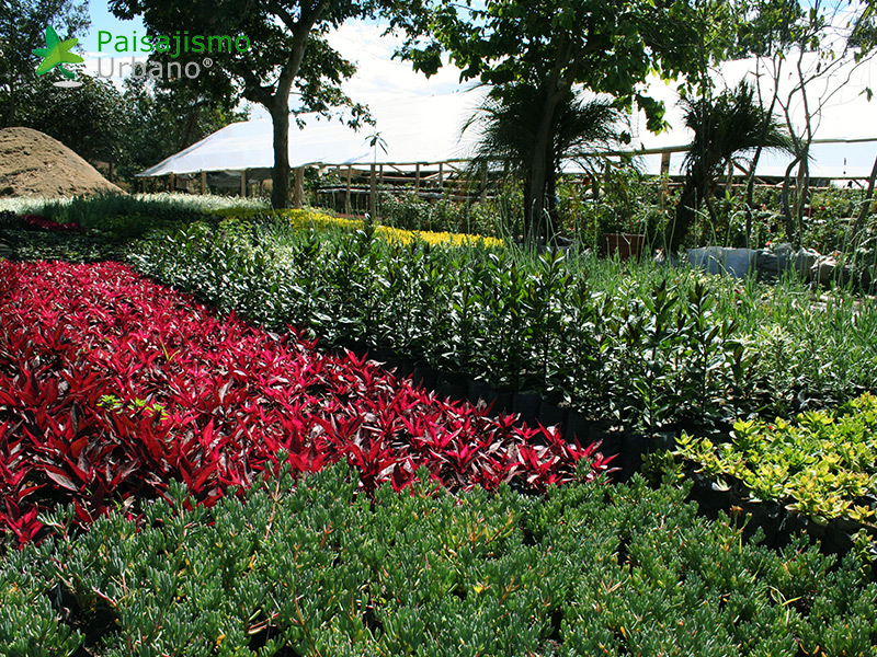 jardines quito