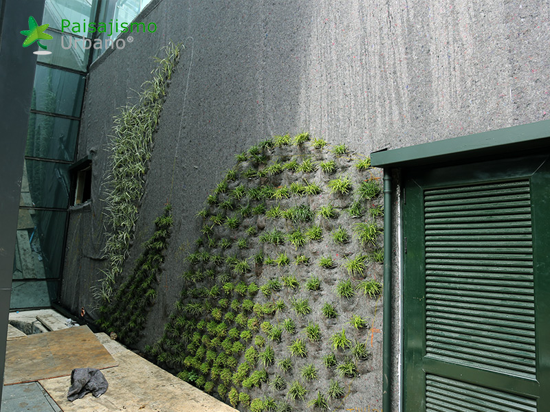 instalación jardin vertical uruguay