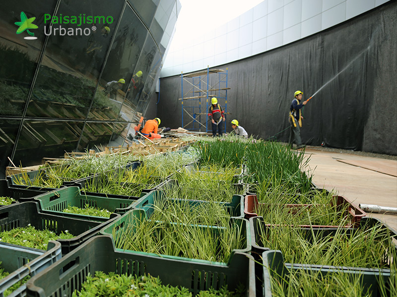 jardines verticales edificio celebra uruguay