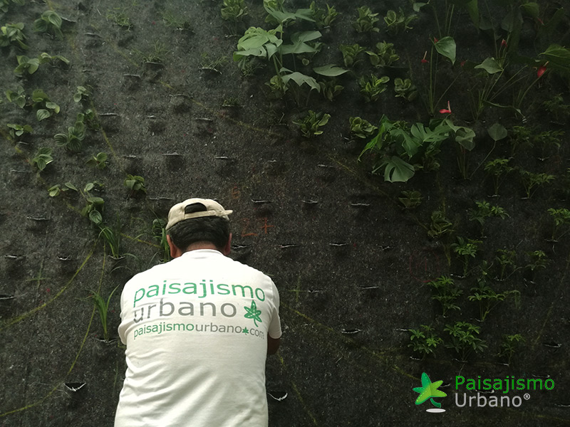 jardin vertical restaurante paisajsimo urbano