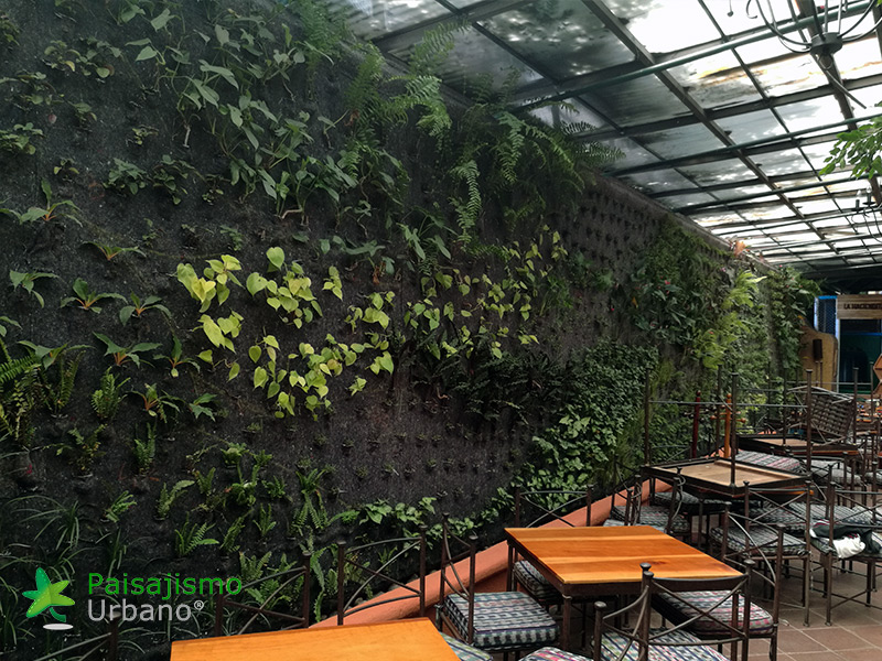 jardines verticales en restaurantes