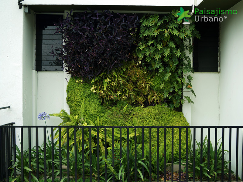 fachada vegetal guatemala