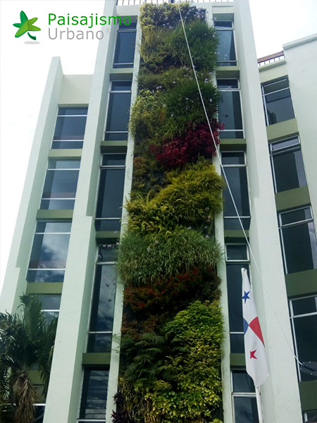 fachada vegetal guatemala