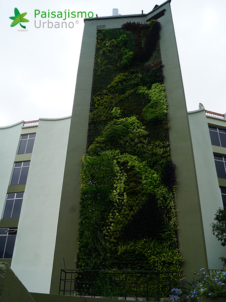 fachada vegetal guatemala