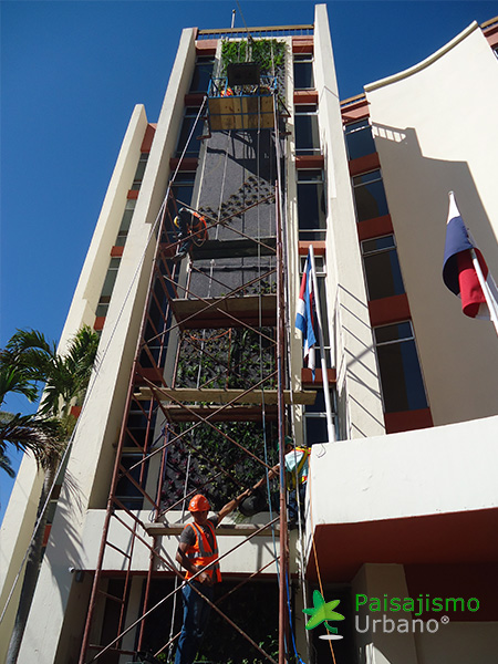 instalación jardines verticales guatemala
