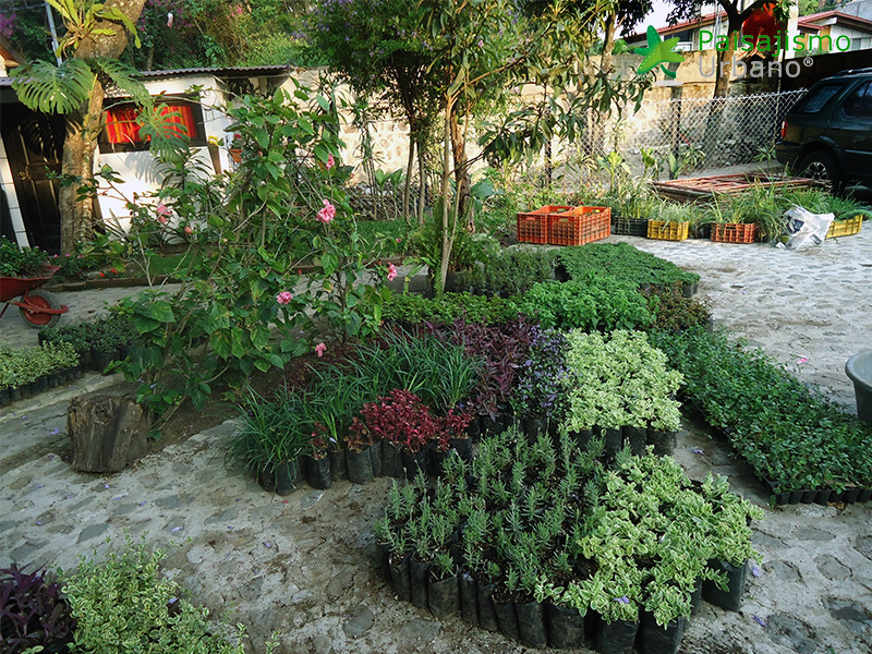 instalación jardines verticales guatemala