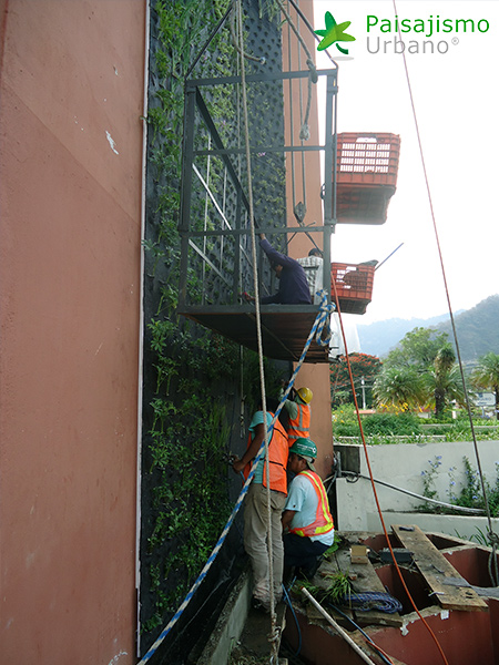 instalación jardines verticales guatemala