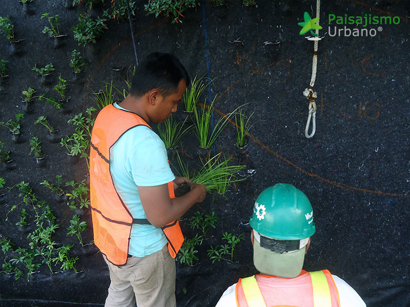 instalación jardines verticales guatemala