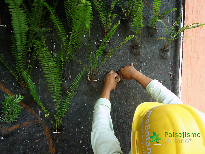 instalación jardines verticales guatemala