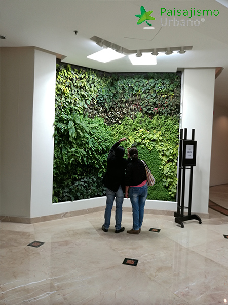 jardin vertical hotel guatemala