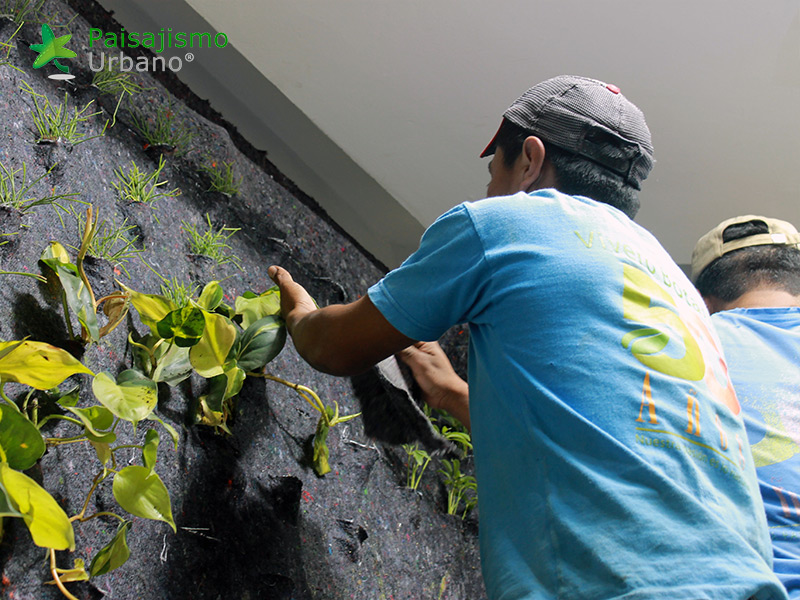 instalación de jardines verticales