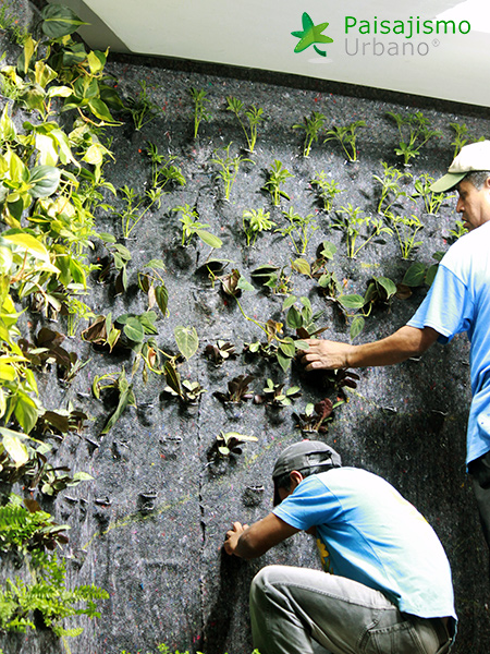 instalación de jardines verticales