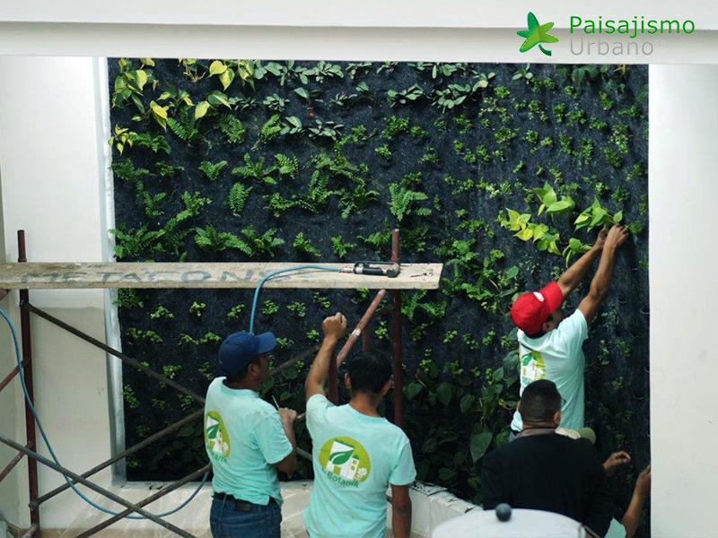 instalación de jardines verticales