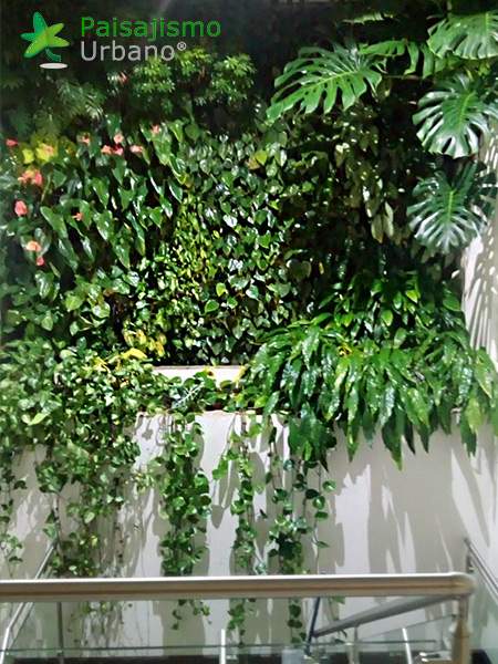 jardin vertical guatemala